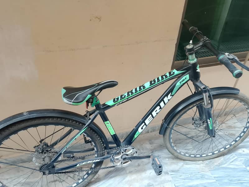 gerik bycycle 1