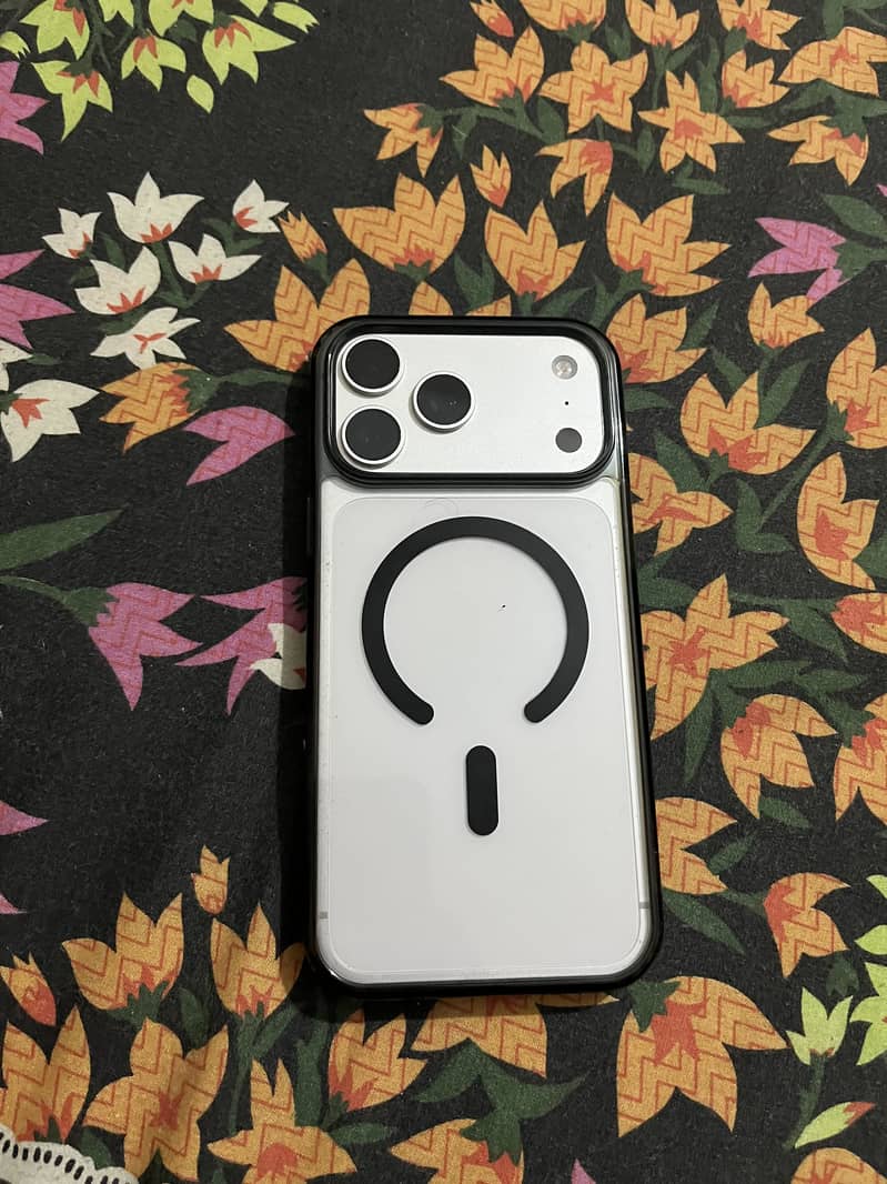 Apple iPhone 17 Pro Max Silver titanium 1