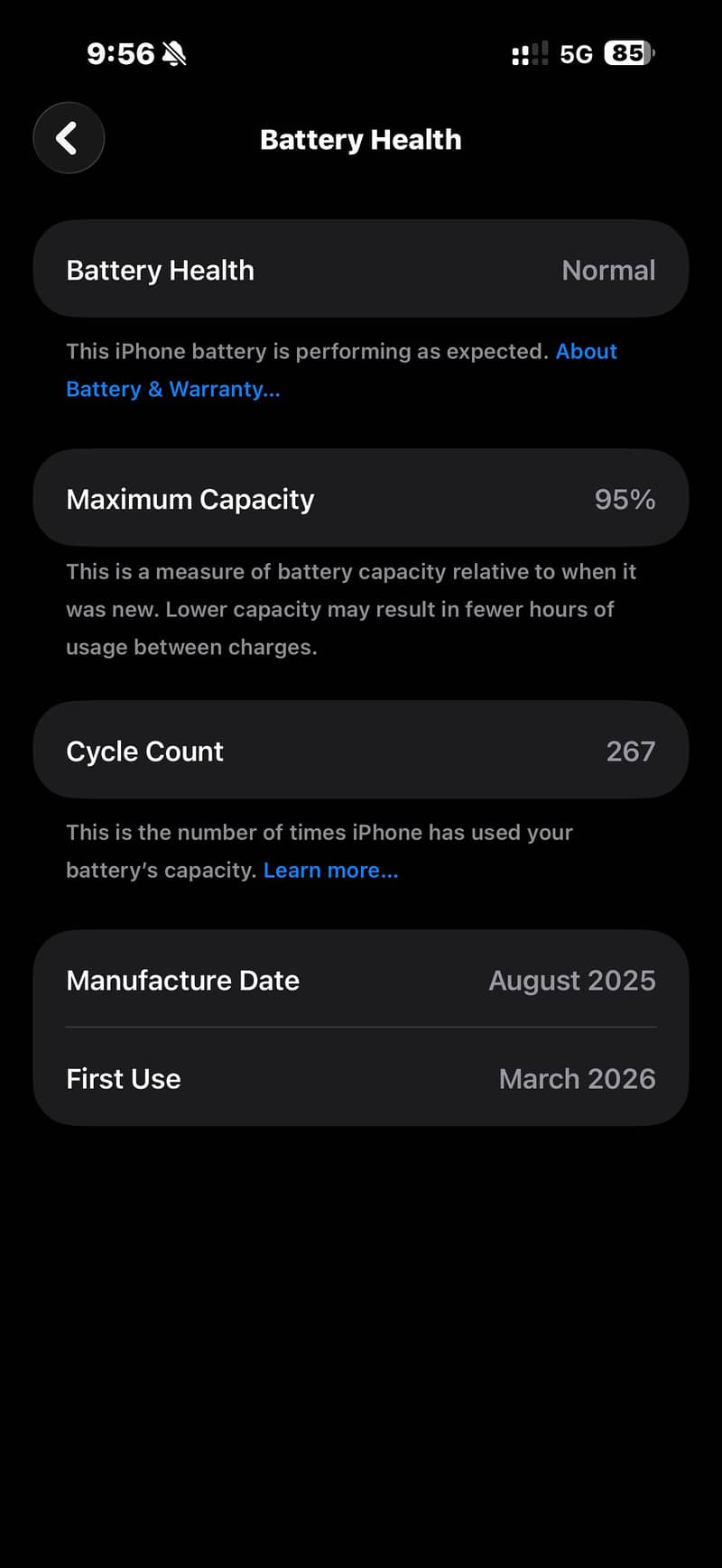 Apple iPhone 17 Pro Max Silver titanium 4