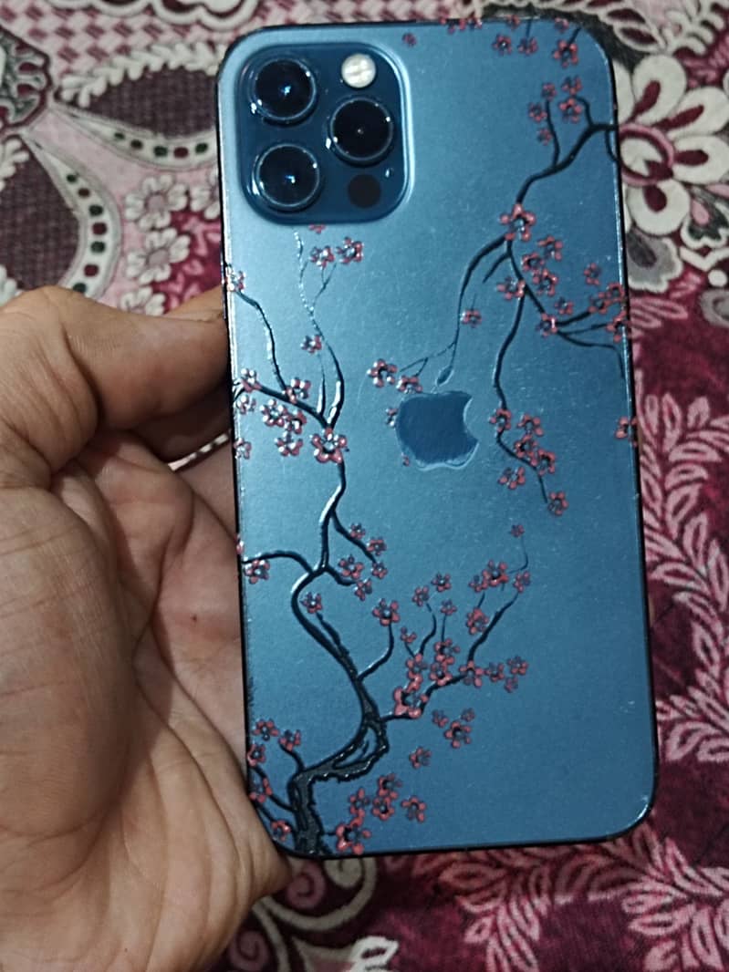 Apple iPhone 12 Pro 0