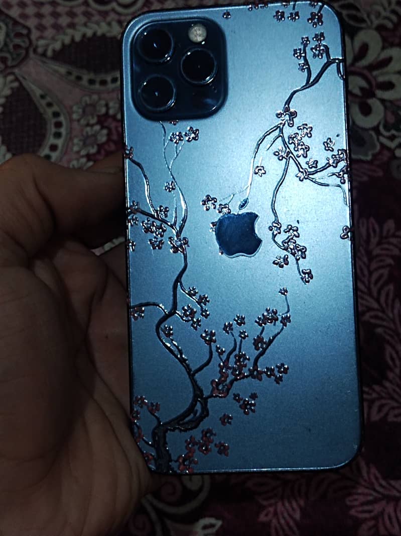 Apple iPhone 12 Pro 3