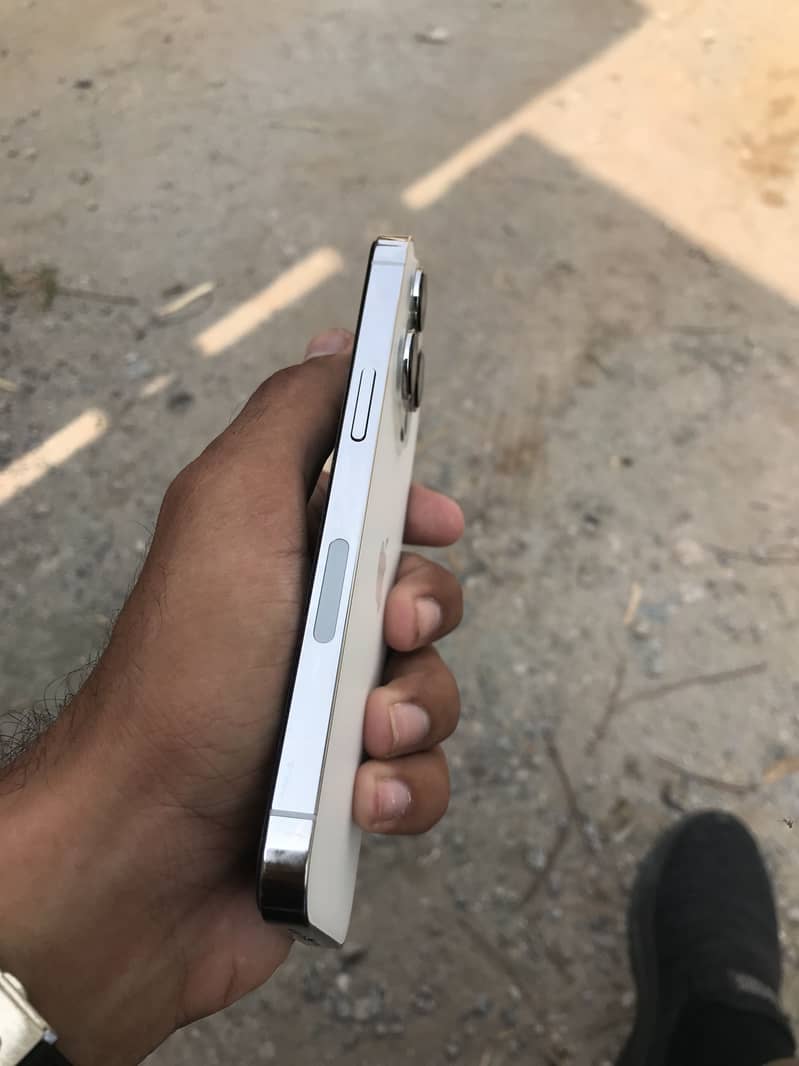Apple iPhone 13 Pro 1