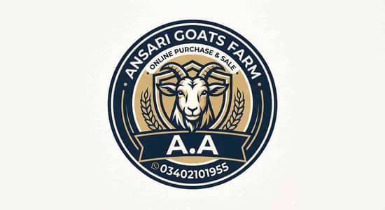 Anas Ansari