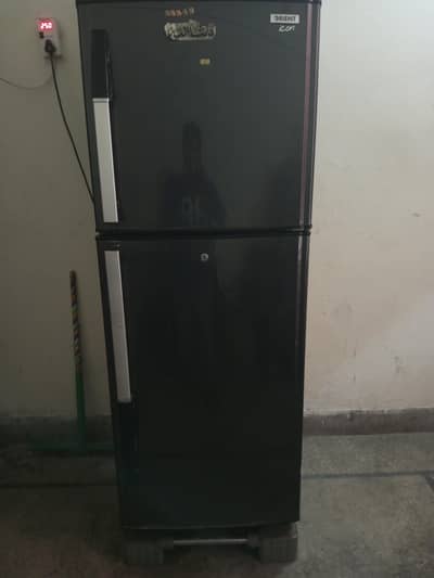 Orient fridge