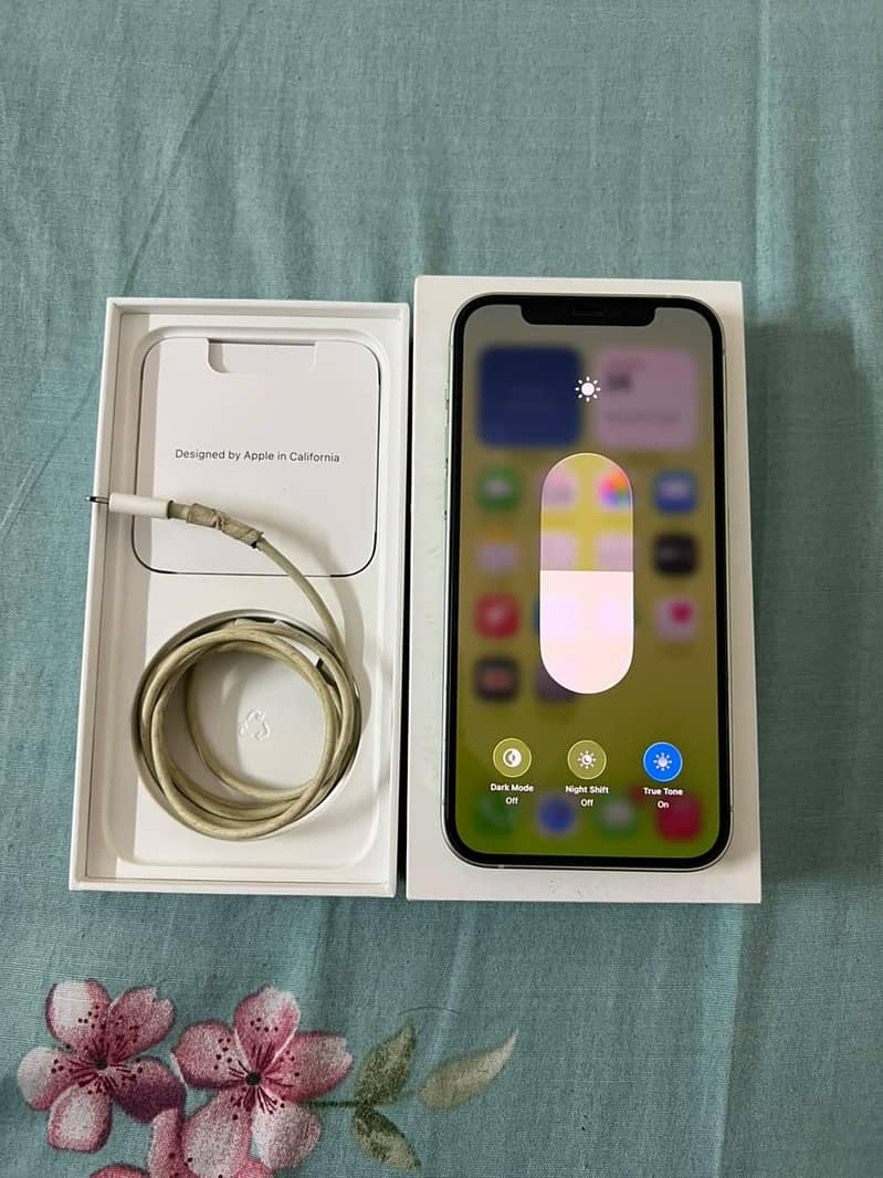 Apple iPhone 12 0