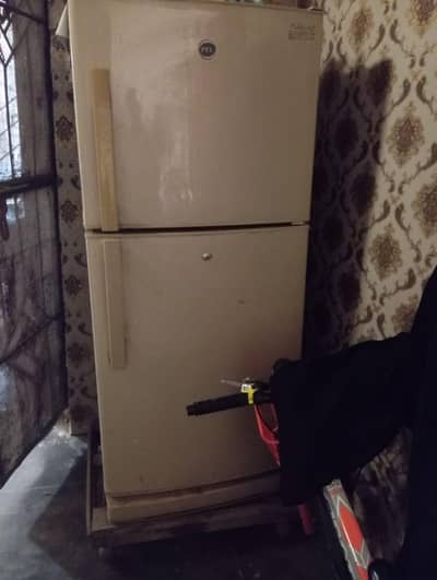 pel fridge  size medium  demand 40k