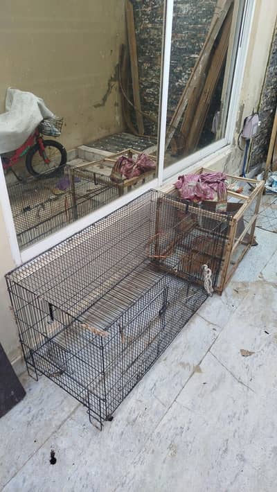 Cages