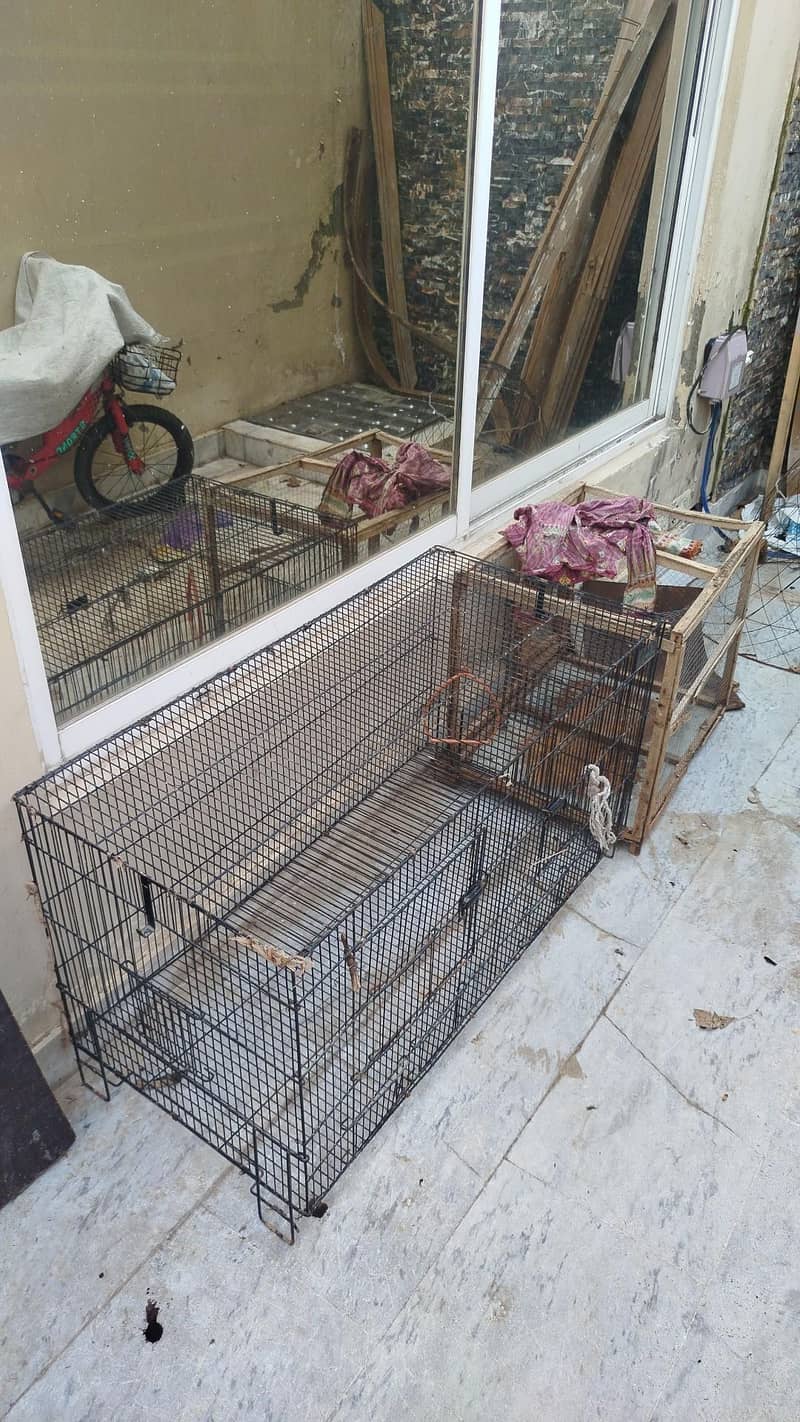 Cages 0