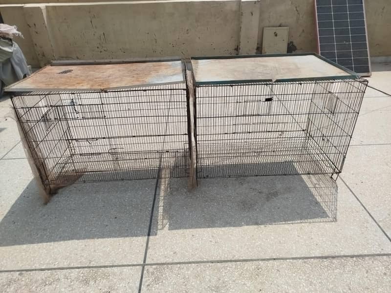 Cages 1