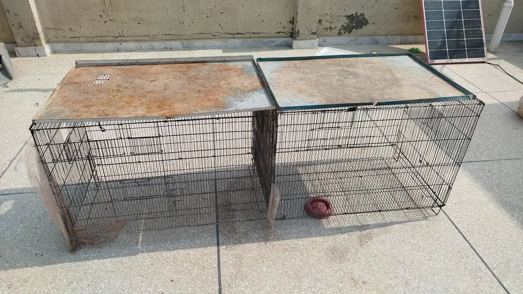 Cages — photo 4