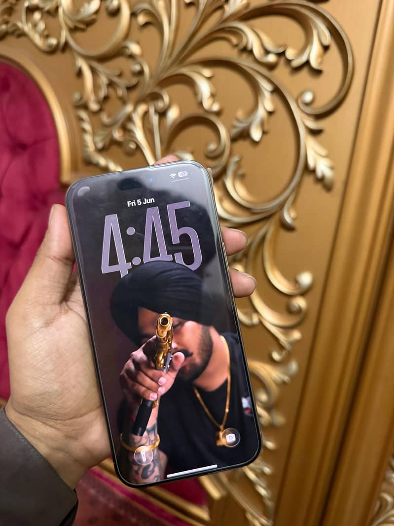 Apple iPhone 16 Pro Max 1