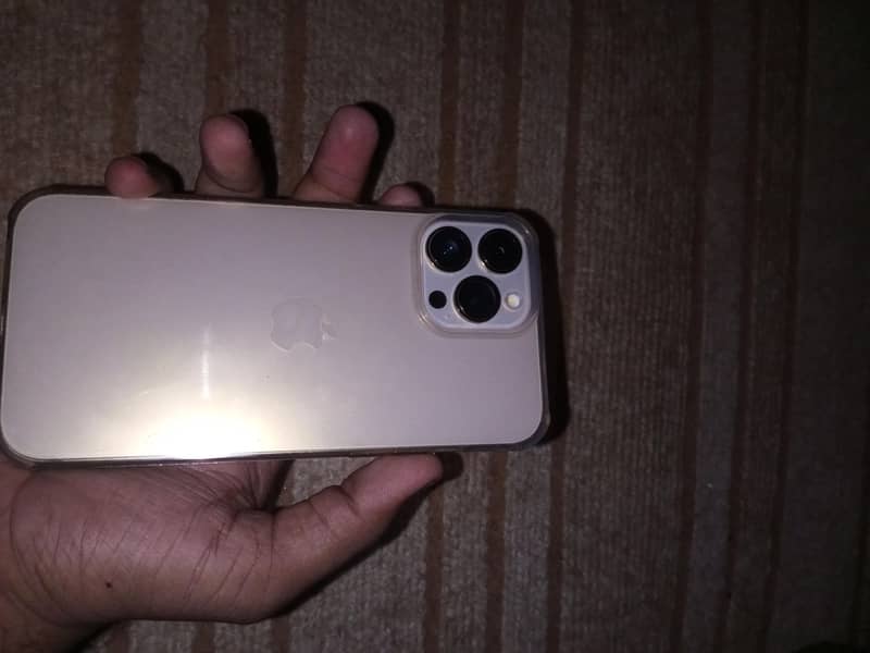 Apple iPhone 13 Pro Max 1
