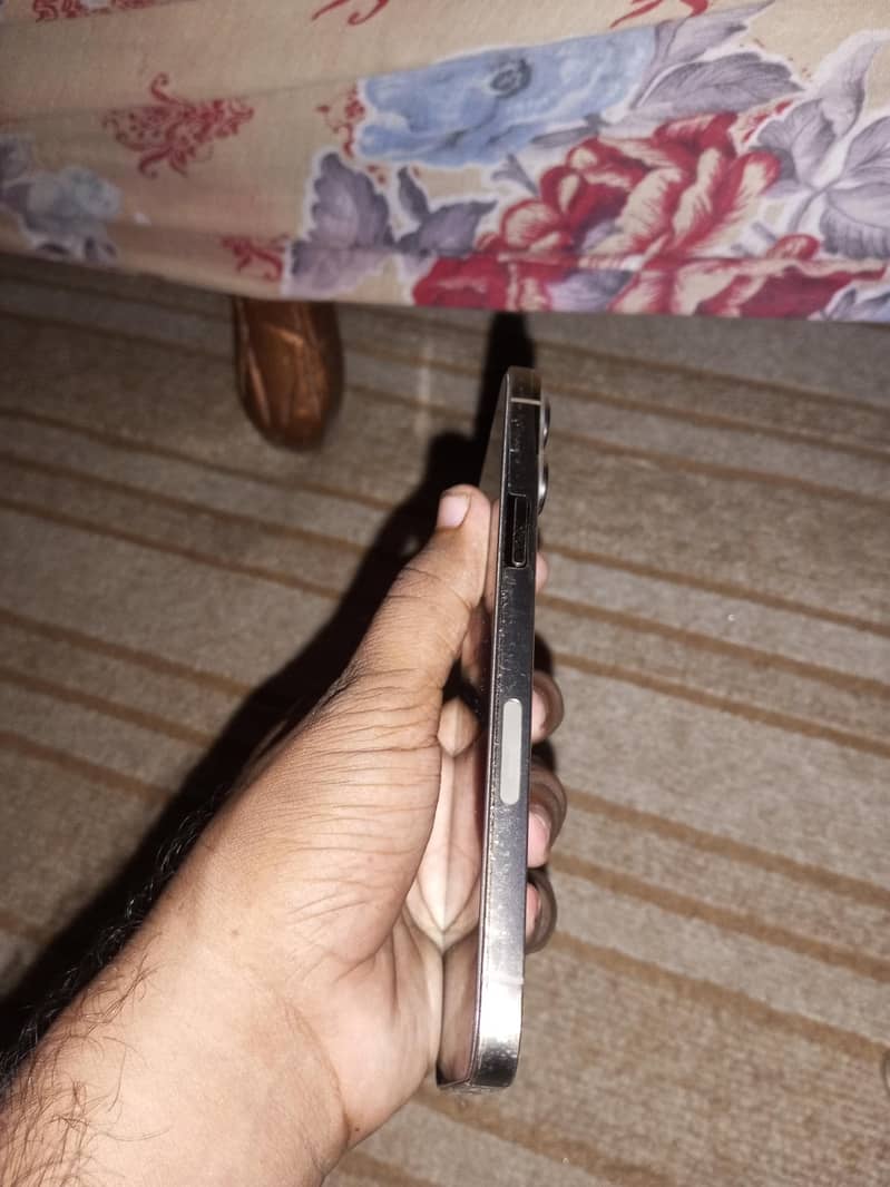 Apple iPhone 13 Pro Max 2