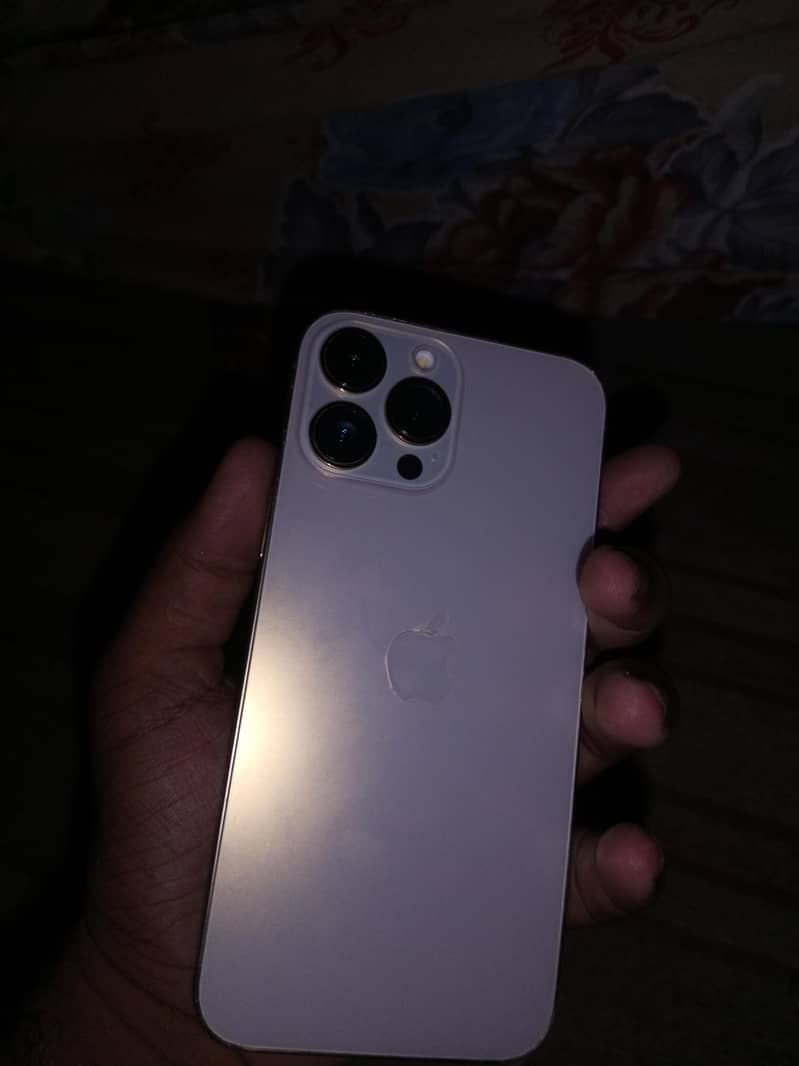 Apple iPhone 13 Pro Max 3