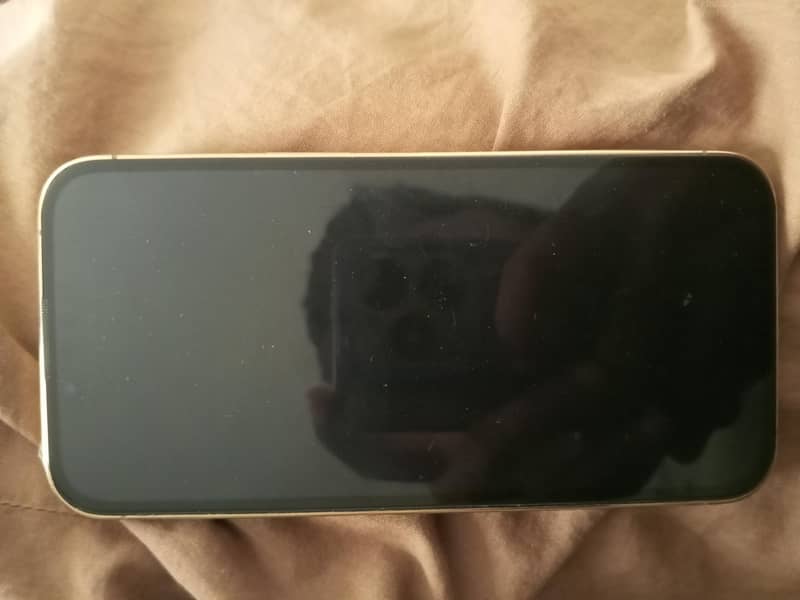 Apple iPhone 13 Pro 0