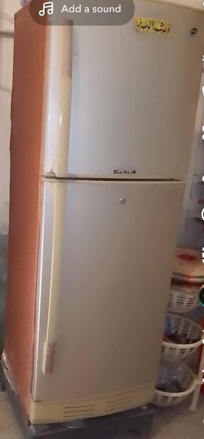 PEF fridge for sale