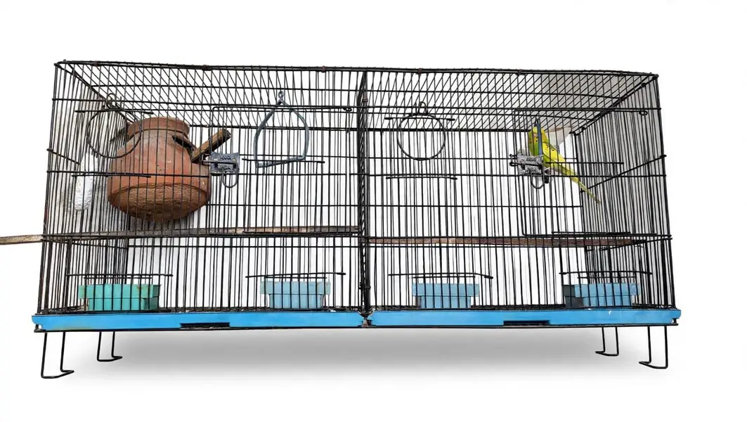 Birds Cage's different 3 size — photo 3
