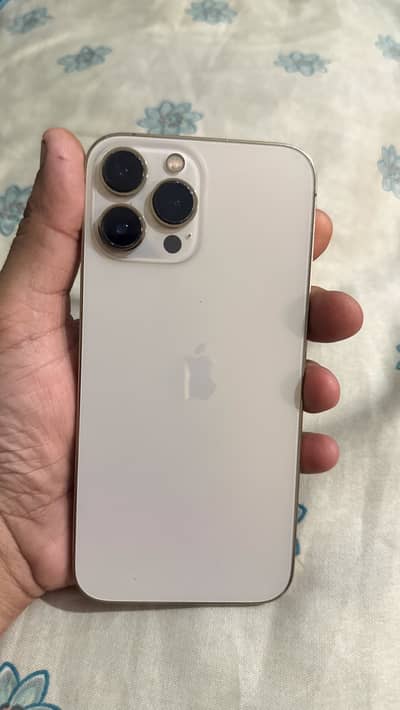 Apple iPhone 13 Pro Max
