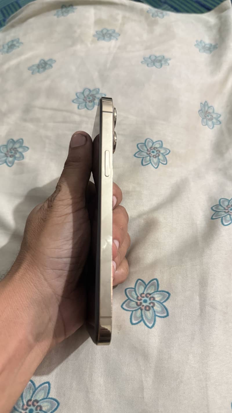 Apple iPhone 13 Pro Max 1