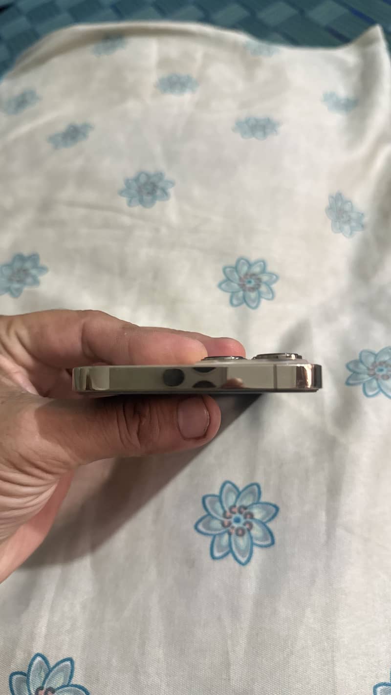 Apple iPhone 13 Pro Max 2