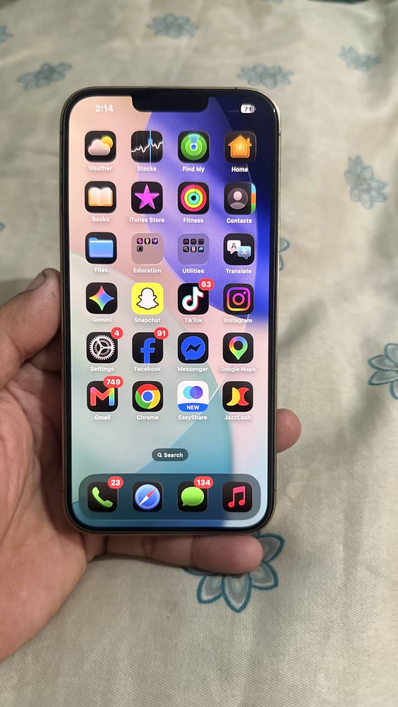 Apple iPhone 13 Pro Max 3