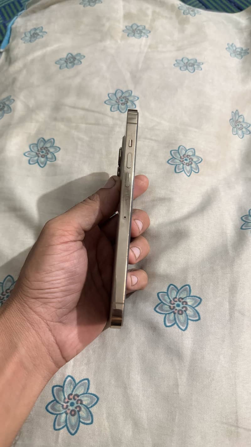 Apple iPhone 13 Pro Max 4