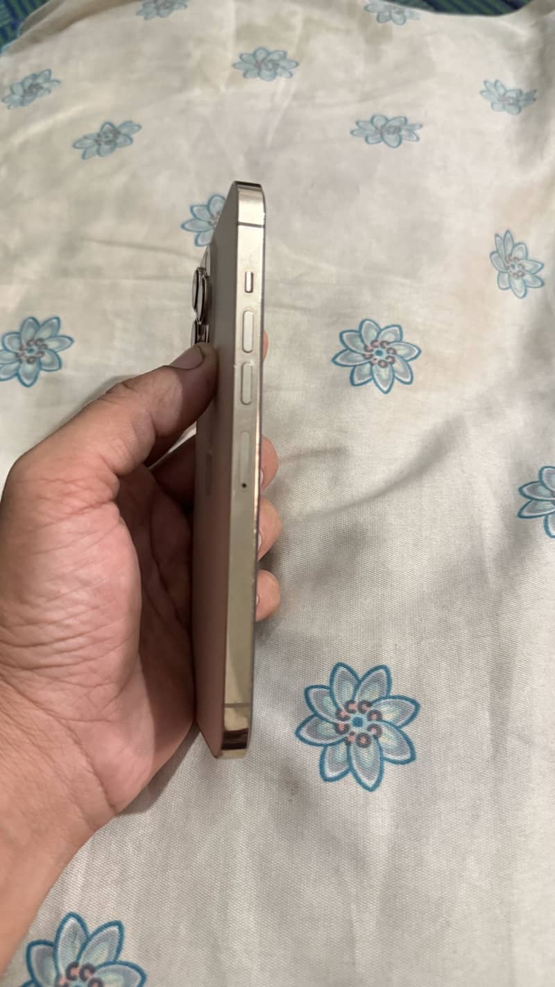 Apple iPhone 13 Pro Max 5