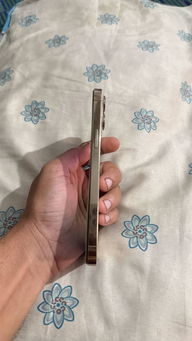 Apple iPhone 13 Pro Max 7