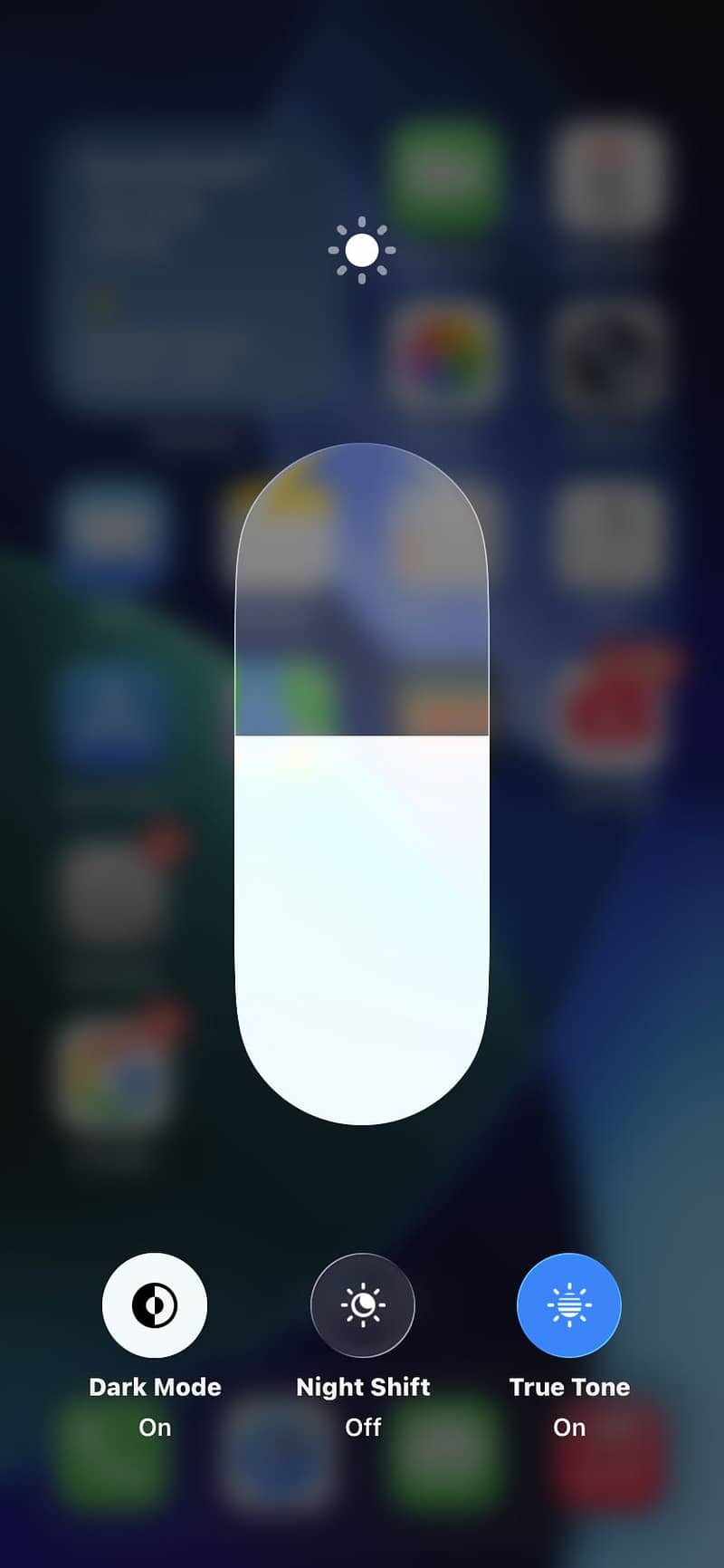 Apple iPhone 11 2