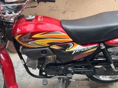 Pridor 2019 model total genuine for sale
