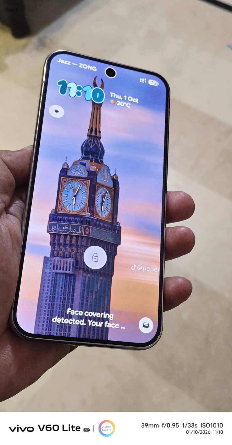 Google Pixel 9 Pro XL 1