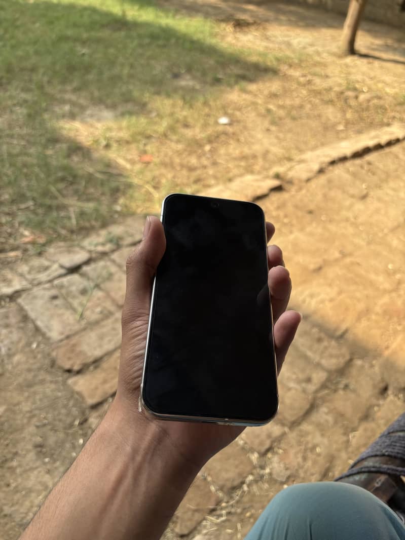 Google Pixel 9 Pro XL 1
