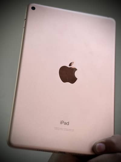 iPad Mini 5 Factory Unlock