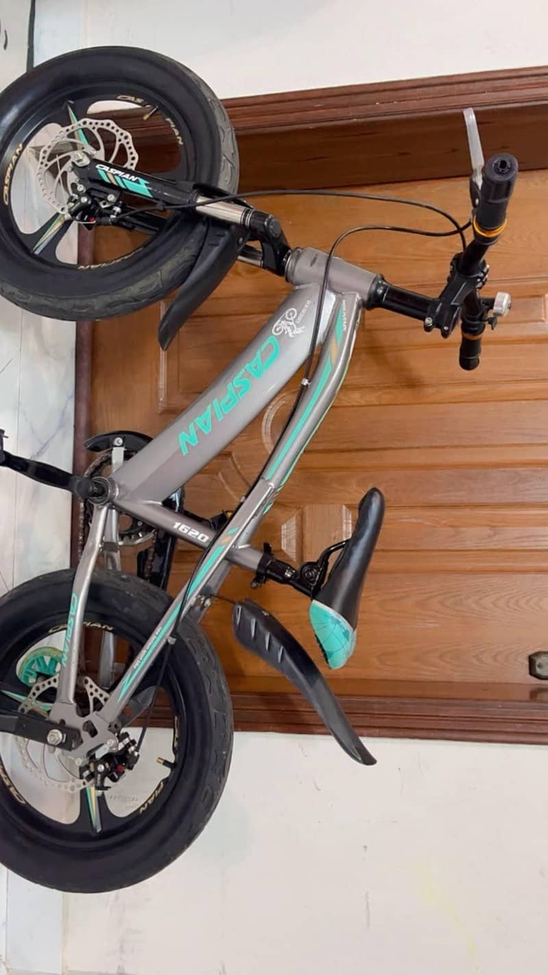 Bicycle 1