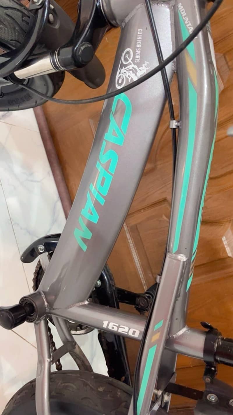 Bicycle 2