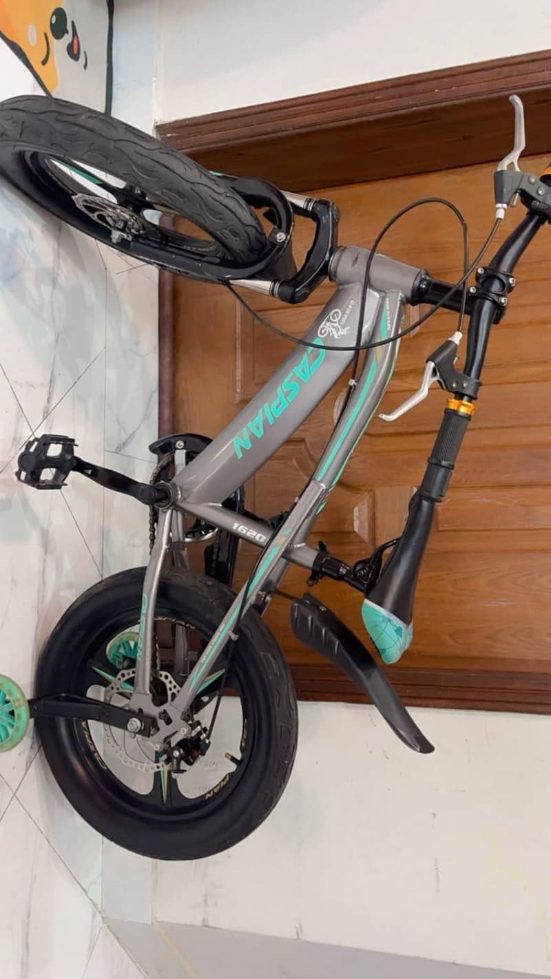 Bicycle 3