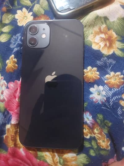Apple iPhone 12