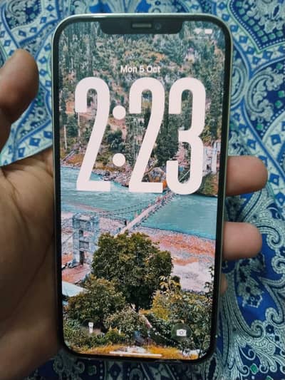 Apple iPhone 12 Pro Max