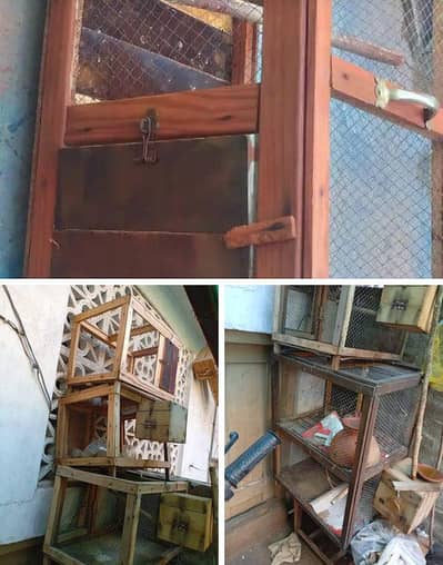 BirdsL cages