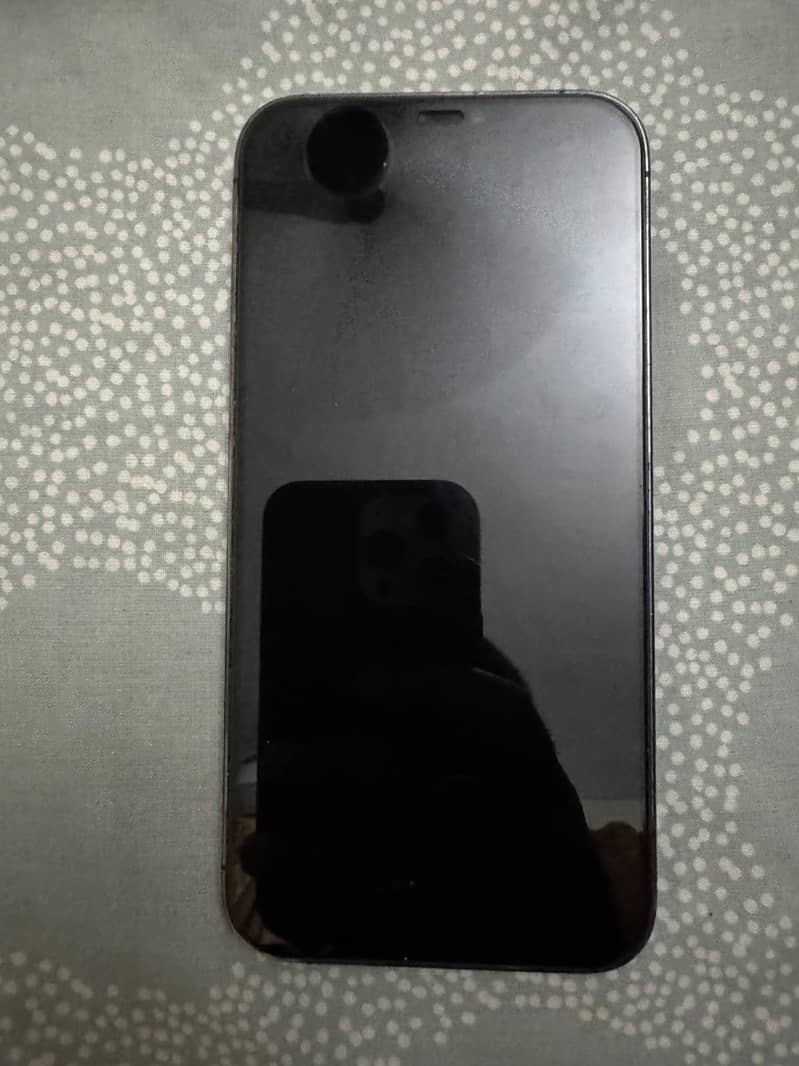 Apple iPhone 12 Pro Max 0