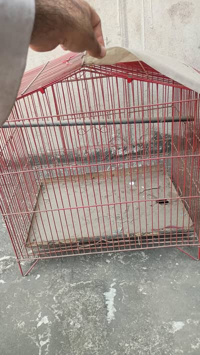 parrot cage available for sale