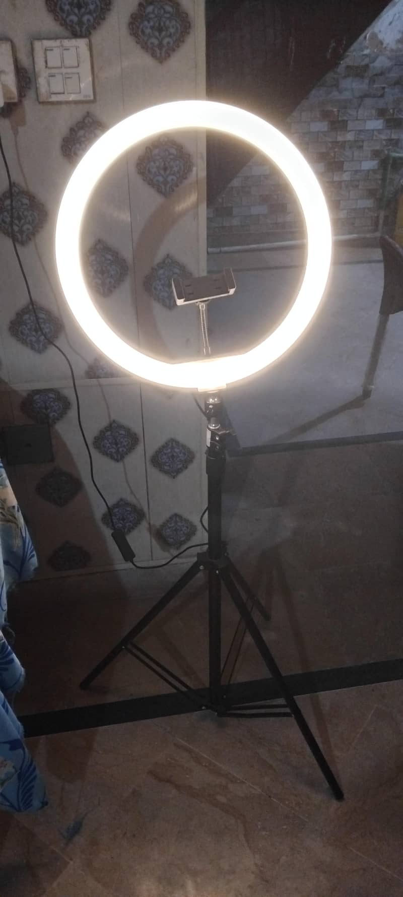 ring light with stand 1