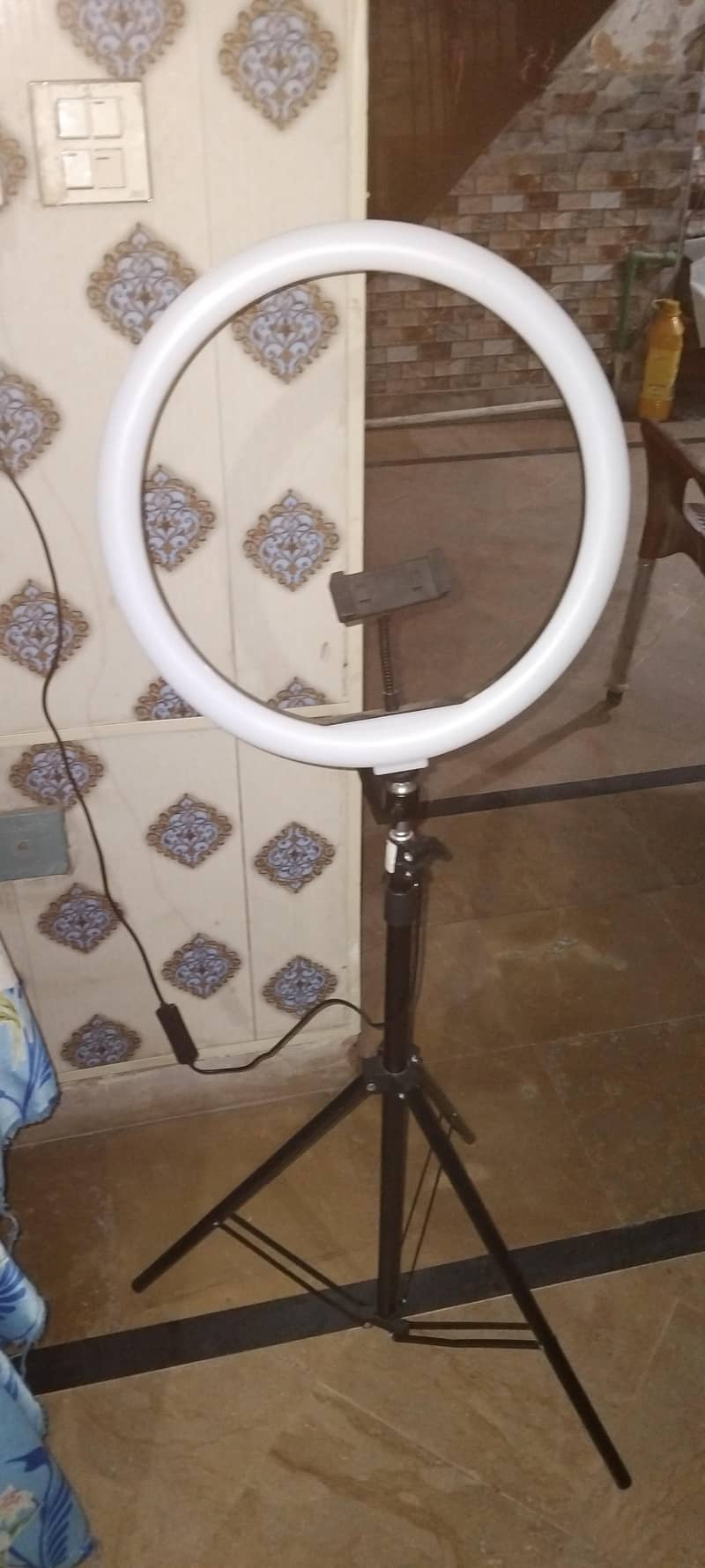 ring light with stand 2