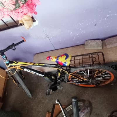 imported cycle size 8 year above
