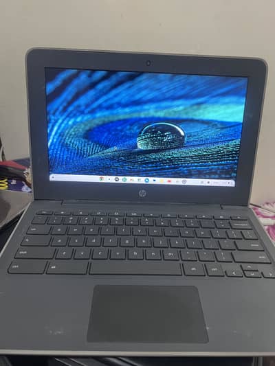 HP brand new chromebook