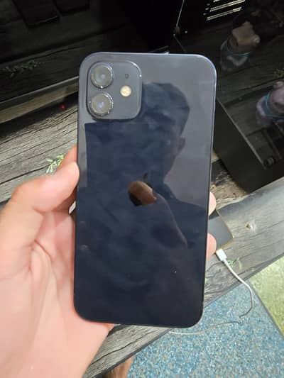 Apple iPhone 12
