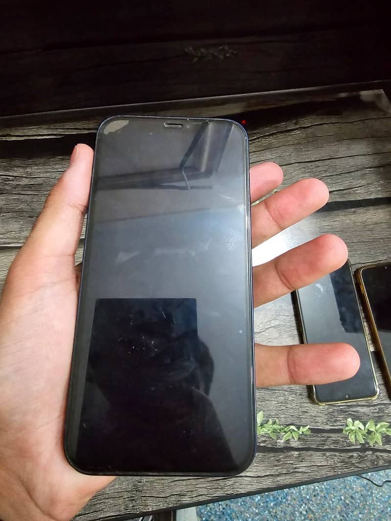 Apple iPhone 12 1