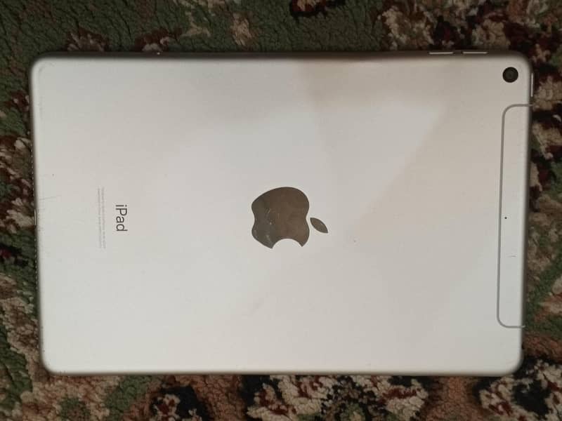ipad mini 5 1
