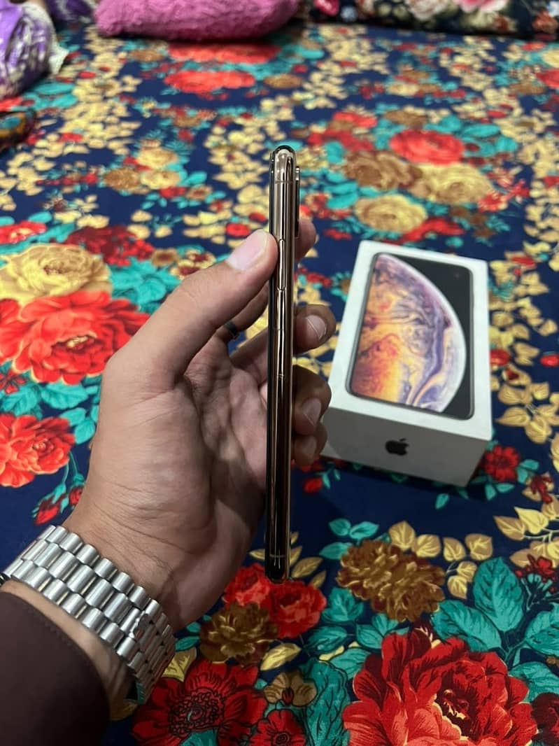 Apple iPhone XS Max 2