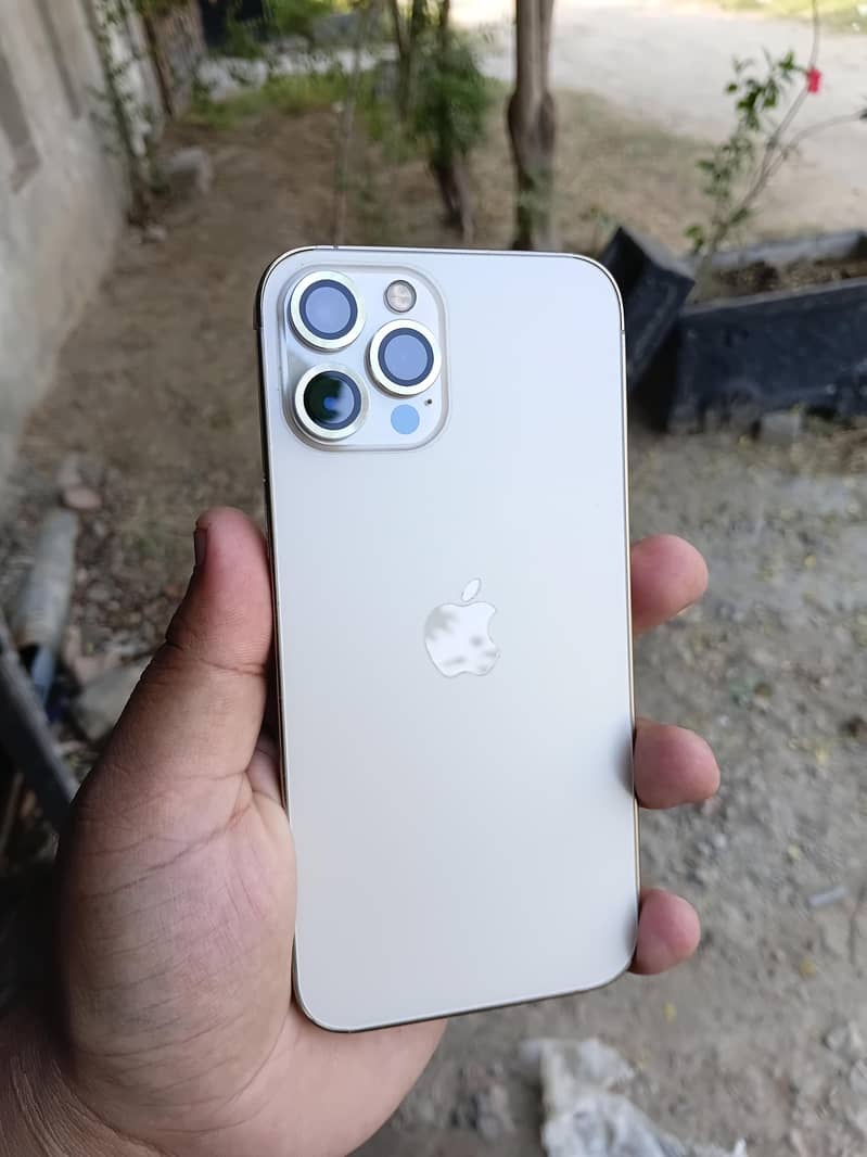 Apple iPhone 12 Pro Max 1